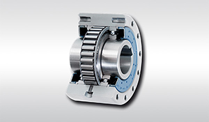 Ringspann-0517-3a